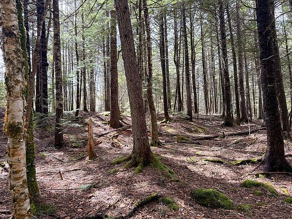 5th image of X Smith Cove Road
