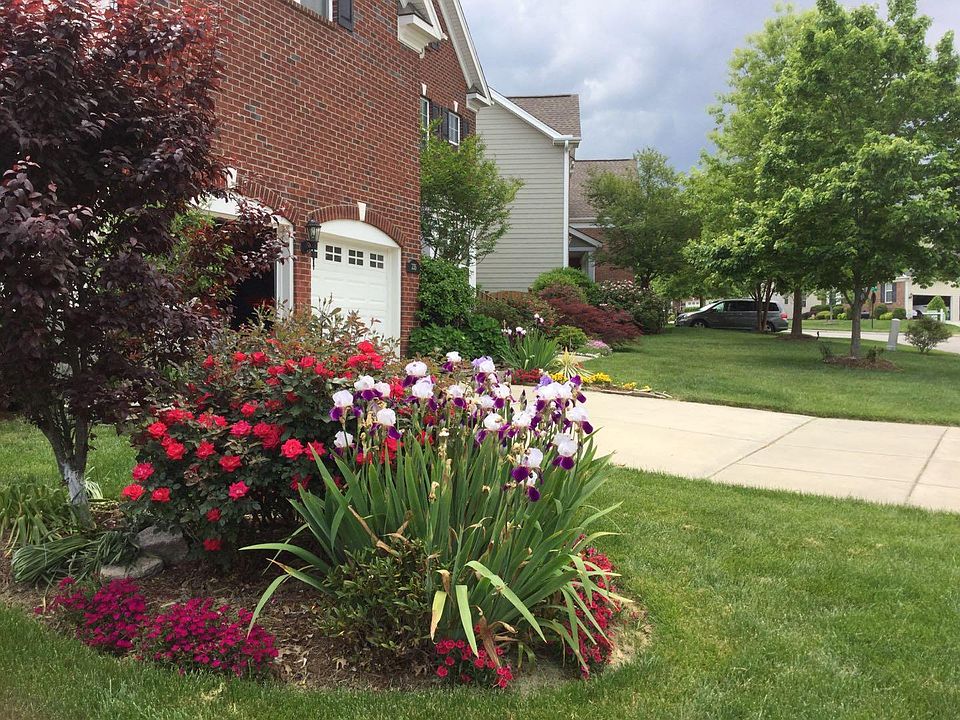 Front Yard