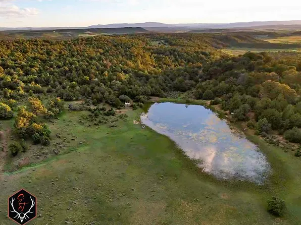 24554 Us Highway 84, Cebolla, NM 87518