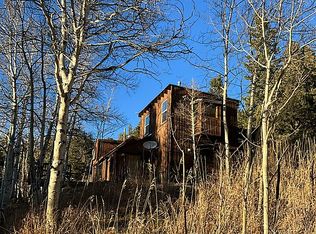 2057 Cold Spring Rd, Nederland, CO 80466