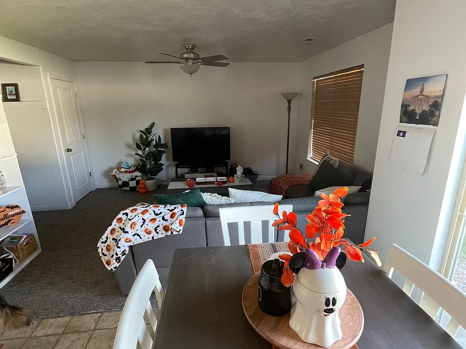 115 S Robison Dr