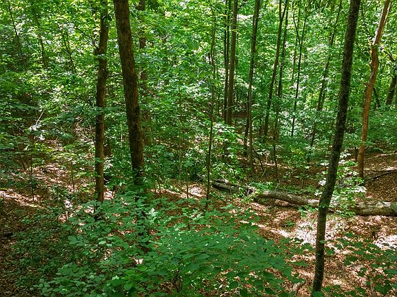 3rd image of 0 Castleman Rd