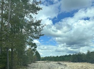 3369 Highway 430, Nichols, SC 29581