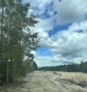 3369 Highway 430, Nichols, SC, 29581