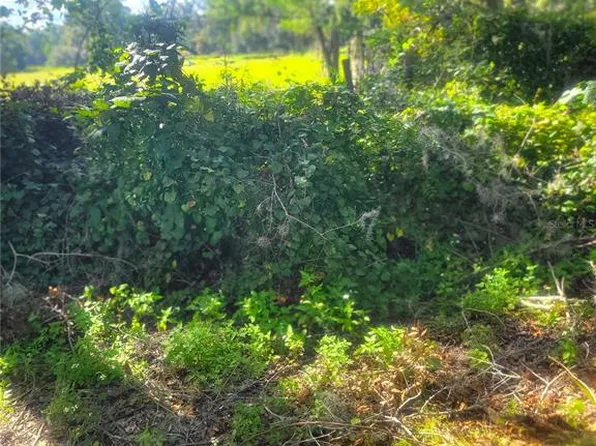 NW 43rd Pl, Newberry, FL 32669