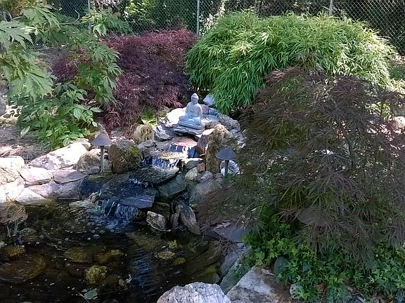 Waterfall in backyard