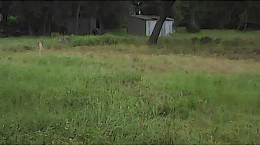 2nd image of 13176 Jackrabbit Ln