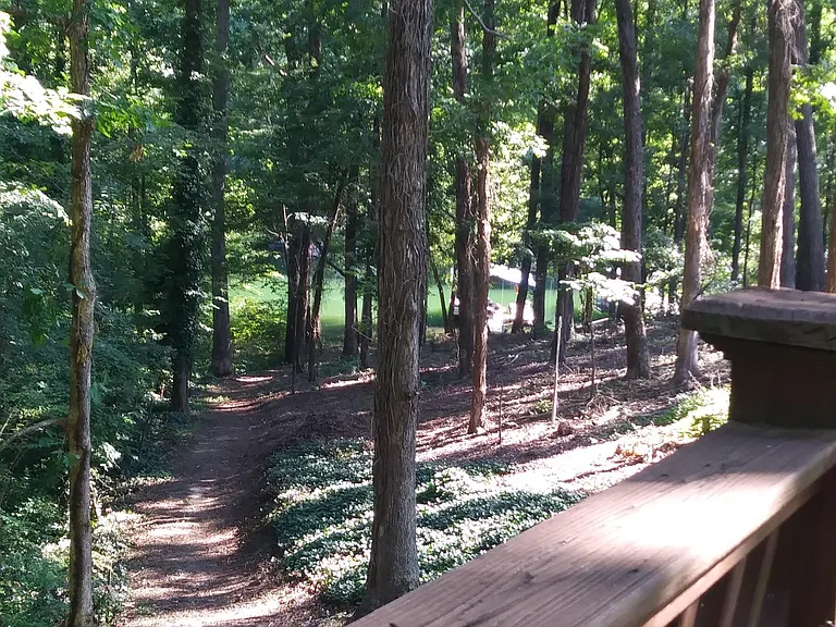 Actually a very gentle walk