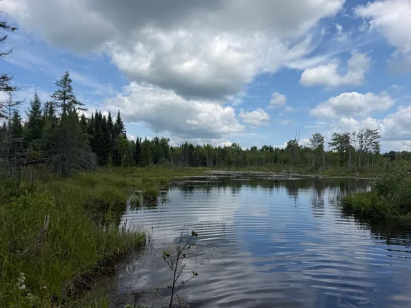 385 Johnson Flat Road, Pittsfield, ME 04967