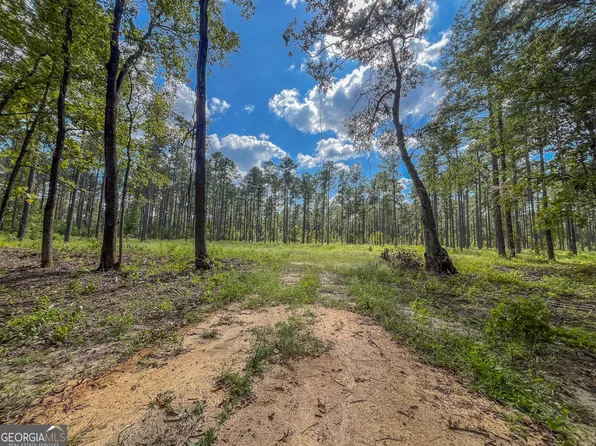 0 Mark Wood Rd Lot 2, Dexter, GA 31019
