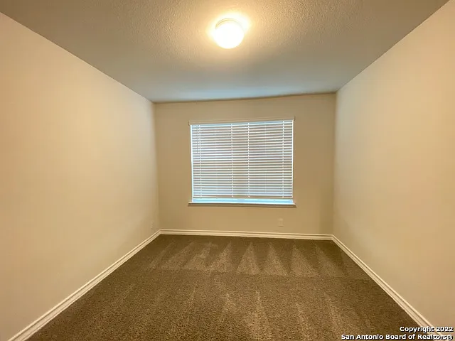 12150 Old Onyx — Photo 15