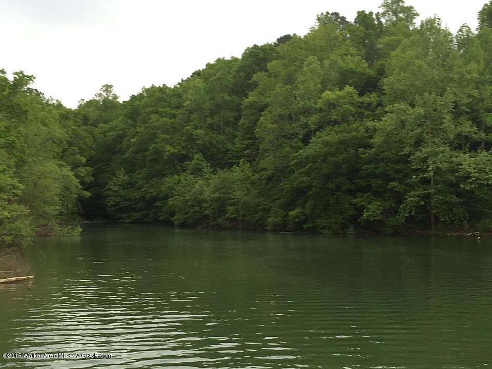 Image 2: Water View