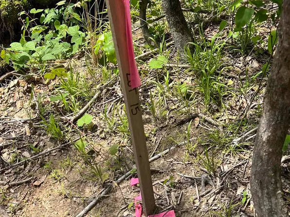 Xx Castle Lot 15, Glenwood, AR 71943