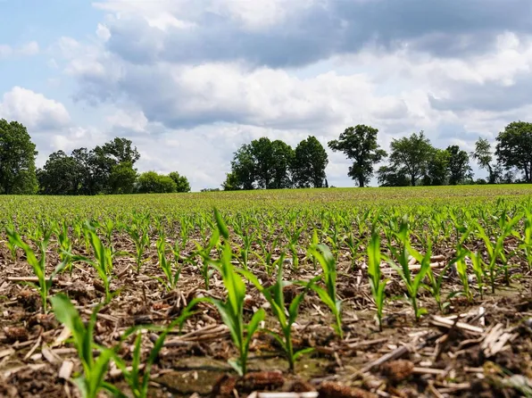 W11851 Highway 16/60, Columbus, WI 53925