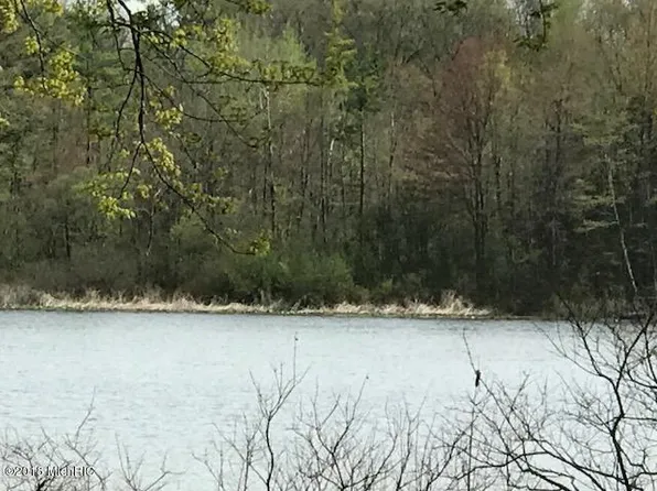 8906 Old Campground Rd, Holton, MI 49425