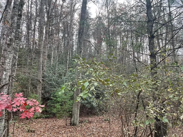 0 Laurel Ridge Dr, Cherry Log, GA 30522