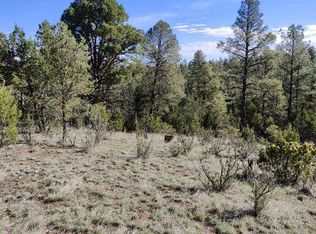 2316 Thunderbird Cir, Overgaard, AZ 85933