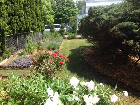 3rd image of 207 Fairhills Dr