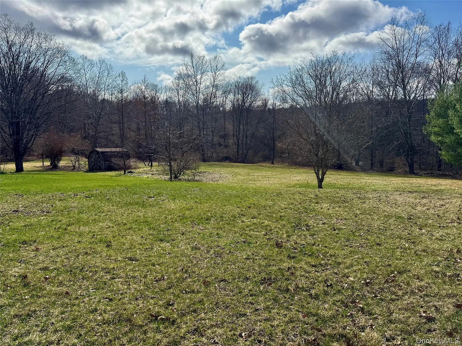 3 bed, 3.5 bath, 3444 sqft, $4,250 — Photo 4