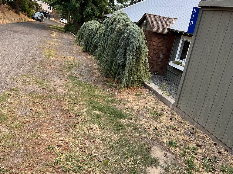 510 Tacoma Ave — Photo 34
