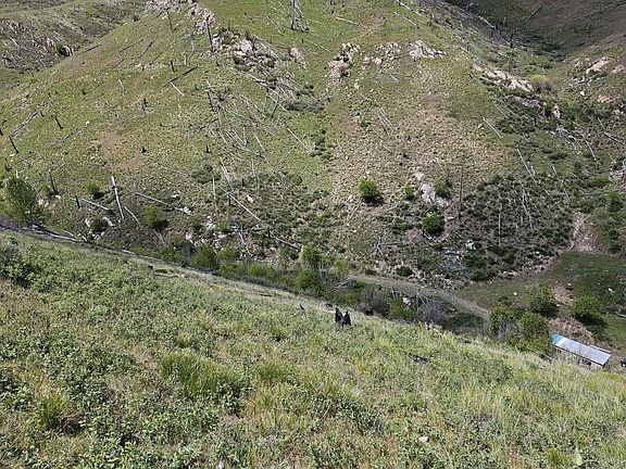 14th image of Nhn Blind Creek Draw Rd