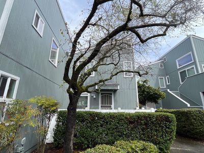 1229 Camino Corto, Rohnert Park, CA, 94928