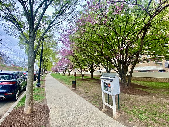 Tree lined street alongside building