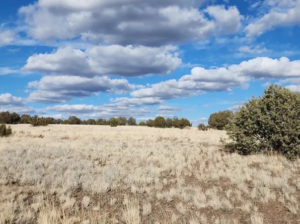 LOT-55A W True Grit Trl, Ash Fork, AZ 86320