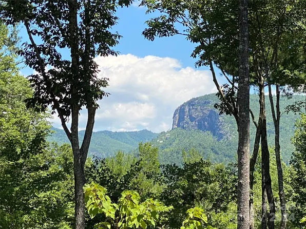 1125 W Side Trl #2, Nebo, NC 28761