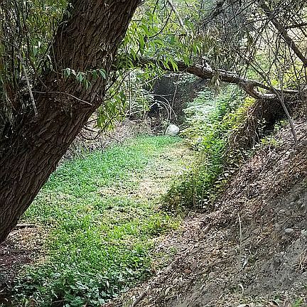 Natural spring west side