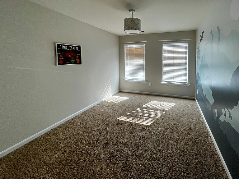 909 Robbie Jackson Ln — Photo 9