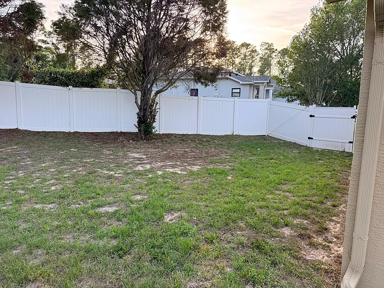Backyard