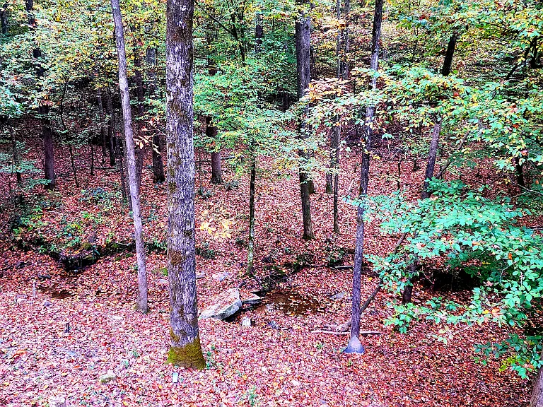 710 County Road 807 — Photo 23