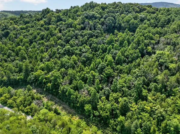 2949 Wilmouth Creek Rd, Liberty, TN 37095