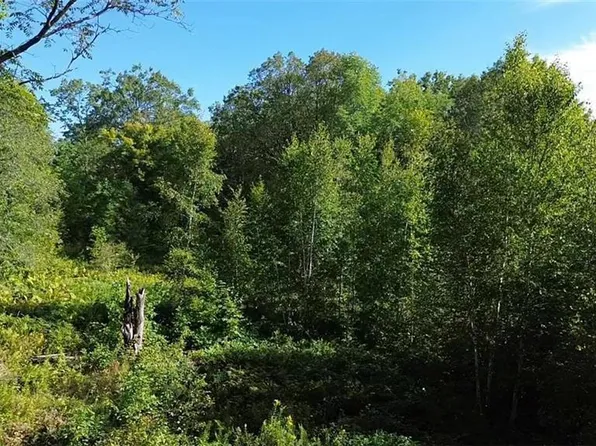 Parcel 9 County Highway T, Birchwood, WI 54817