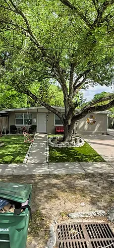 1503 W Linebaugh Ave Photo 1