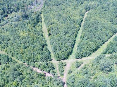 Coosa Co #26, Rockford, AL, 35136