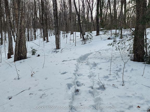 4th image of 1165 Spring Lake Rd