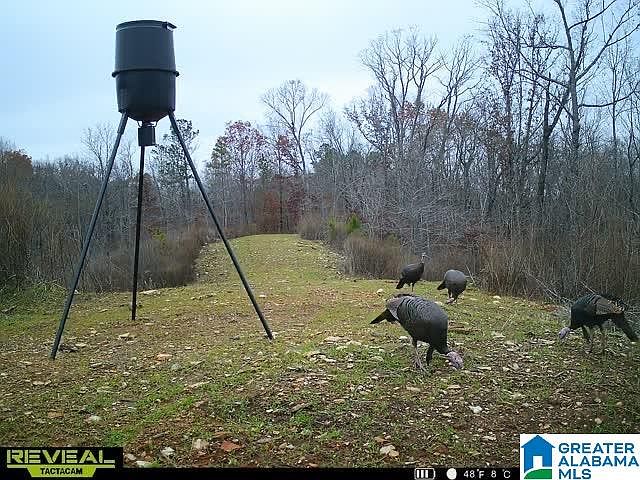 1st image of 1925 Coaling Rd #0