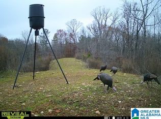 1925 Coaling Rd #0, Sylacauga, AL 35151