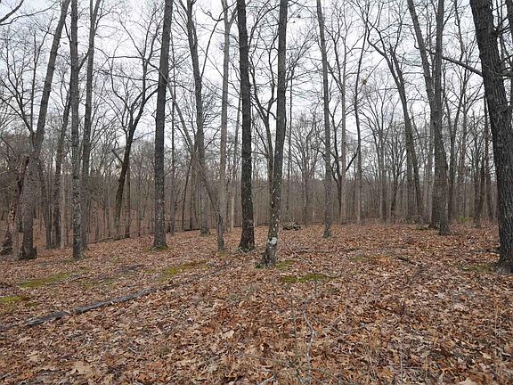 5th image of 0 Hills Hollow Rd Lot 20