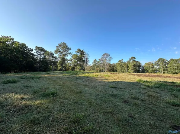 County Road 432, Fyffe, AL 35971