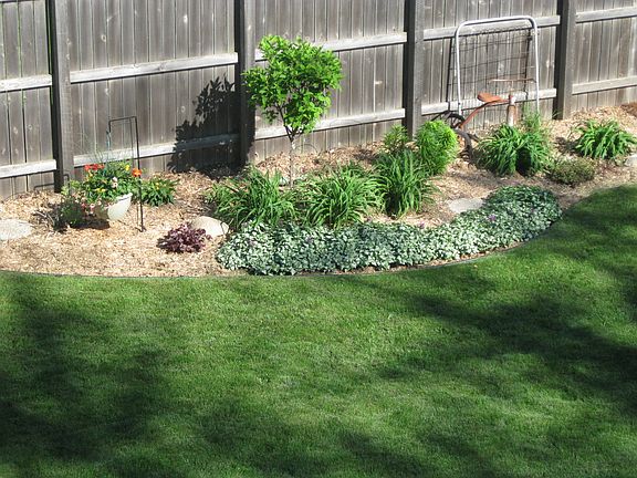 backyard landscaping
