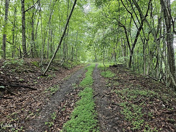 2nd image of Jaybird Branch Rd