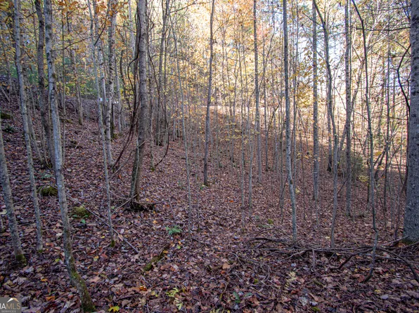 LOT 66 Choctaw Ridge Trl, Murphy, NC 28906