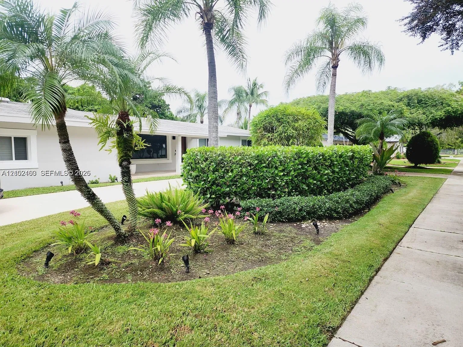 Palmetto Homesites — Photo 2