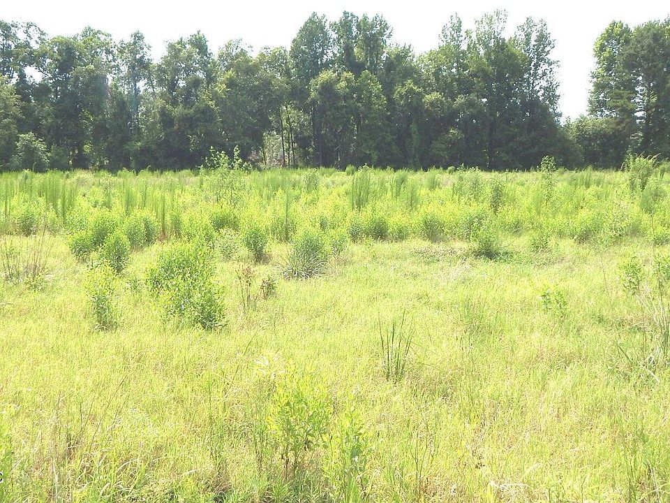 1st image of 590 County Road 247