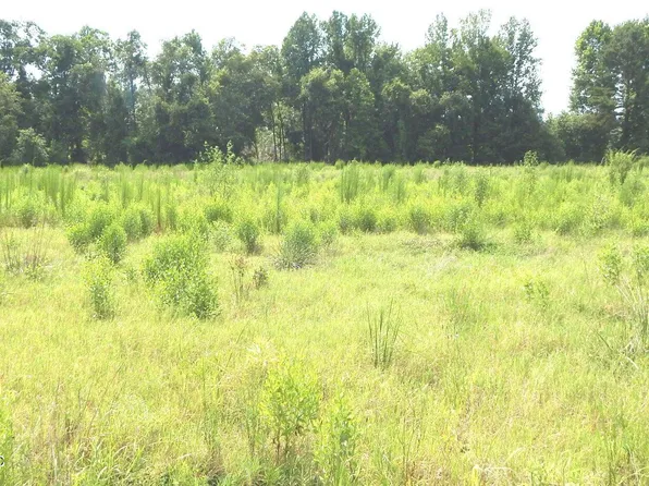 590 County Road 247, Bruce, MS 38915