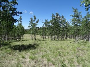 782 Bowstring Rd, Como, CO 80432