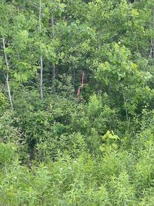 PARCEL Fox Rd #I, Hinckley, MN, 55037